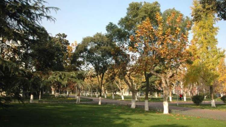 上海中學國際部（浦西）