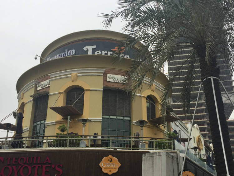 露臺(tái) THE TERRACE RESTAURANT & BAR