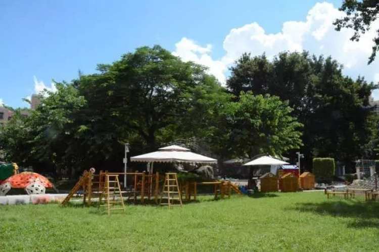 寶安區(qū)興華幼兒園