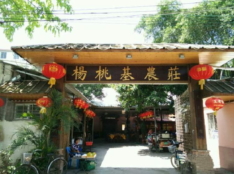 楊桃基農(nóng)莊