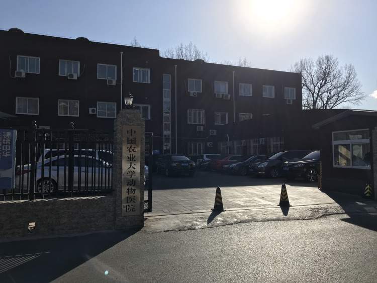 中國農(nóng)業(yè)大學動物醫(yī)院