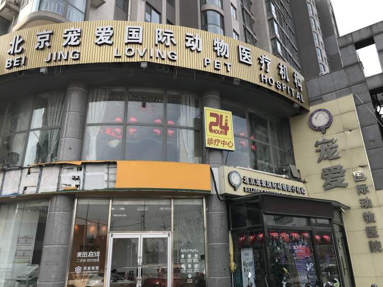 寵愛國際動物醫(yī)院