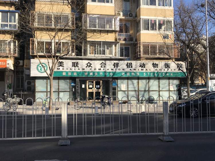 美聯(lián)眾合動物醫(yī)院伴侶分院