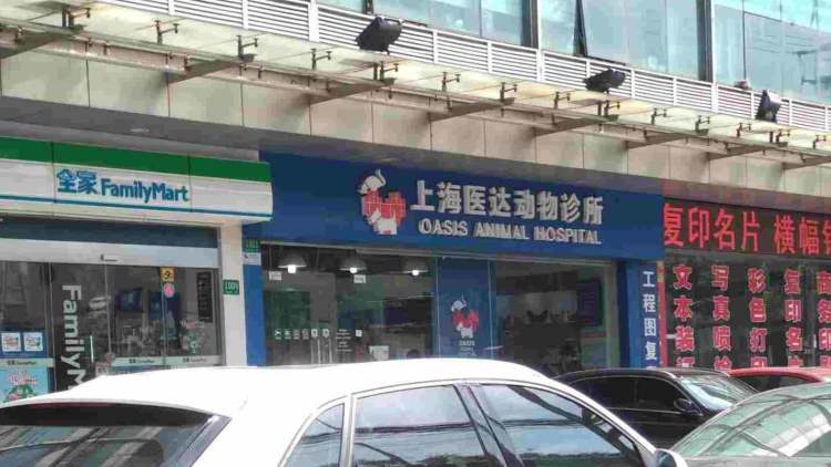 醫(yī)達(dá)動(dòng)物診所