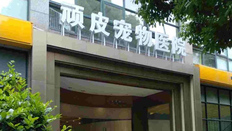 頑皮家族寵物醫(yī)院(虹橋路總院)