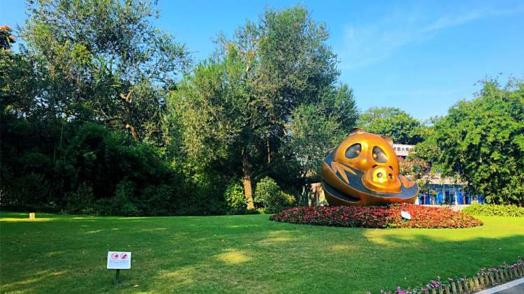 成都大熊貓繁育研究基地