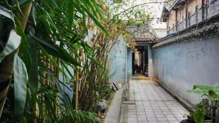 竹間閑逸雅集客棧