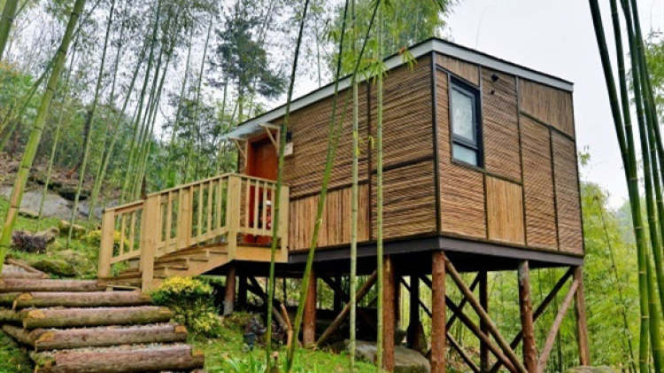 安緹縵·竹林樹(shù)屋