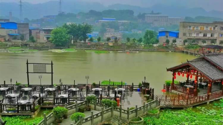 鮮龍井火鍋公園(南山總店)