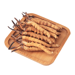 冬蟲夏草十大品牌