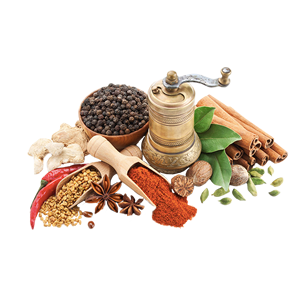 調(diào)味品十大品牌