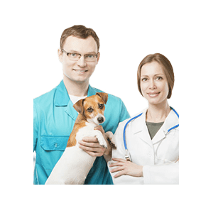 寵物醫(yī)院十大品牌