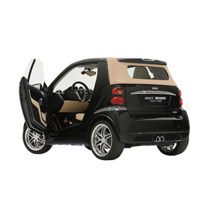 新能源汽車(chē)十大品牌