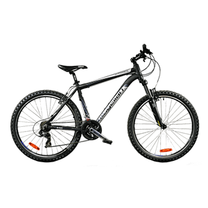 自行車(chē)十大品牌